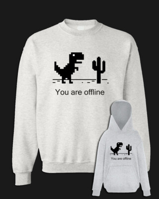 YOU ARE OFFLINE Sweatshirt grau süße Geschenkidee Nerd PC Kapuze und ohne