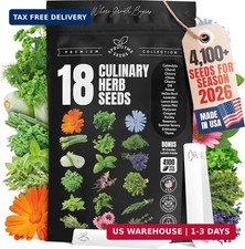 Culinary Herb Seeds Variety Pack - Basil, Cilantro, Parsley, Oregano, Rosemary 