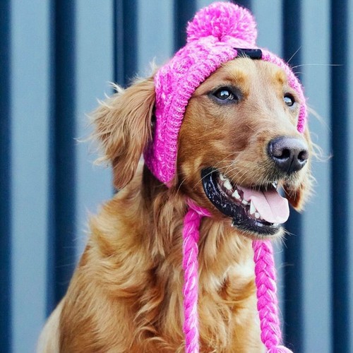 Accessories Soft Warm Windproof Outdoor Chihuahua Winter Knitting Pet Dog Hats - Picture 6 of 12