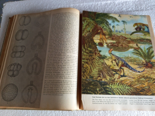 Weltall Erde Mensch DDR Jugendweihebuch Jugendweihe Buch - Bild 7 von 14