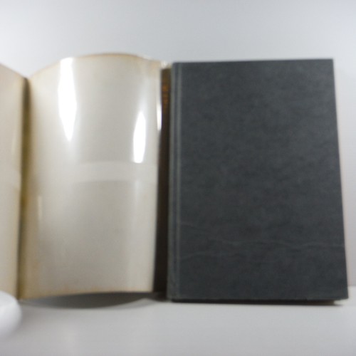 A Hot Prospect Geothermal Energy by Augusta Goldin 1981 vintage book HC DJ - Picture 4 of 19