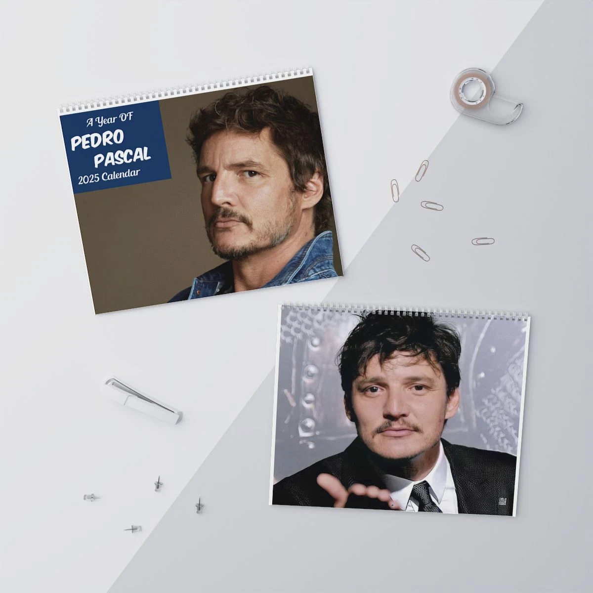 Pedro Pascal Calendar 2025 Wall Calendar