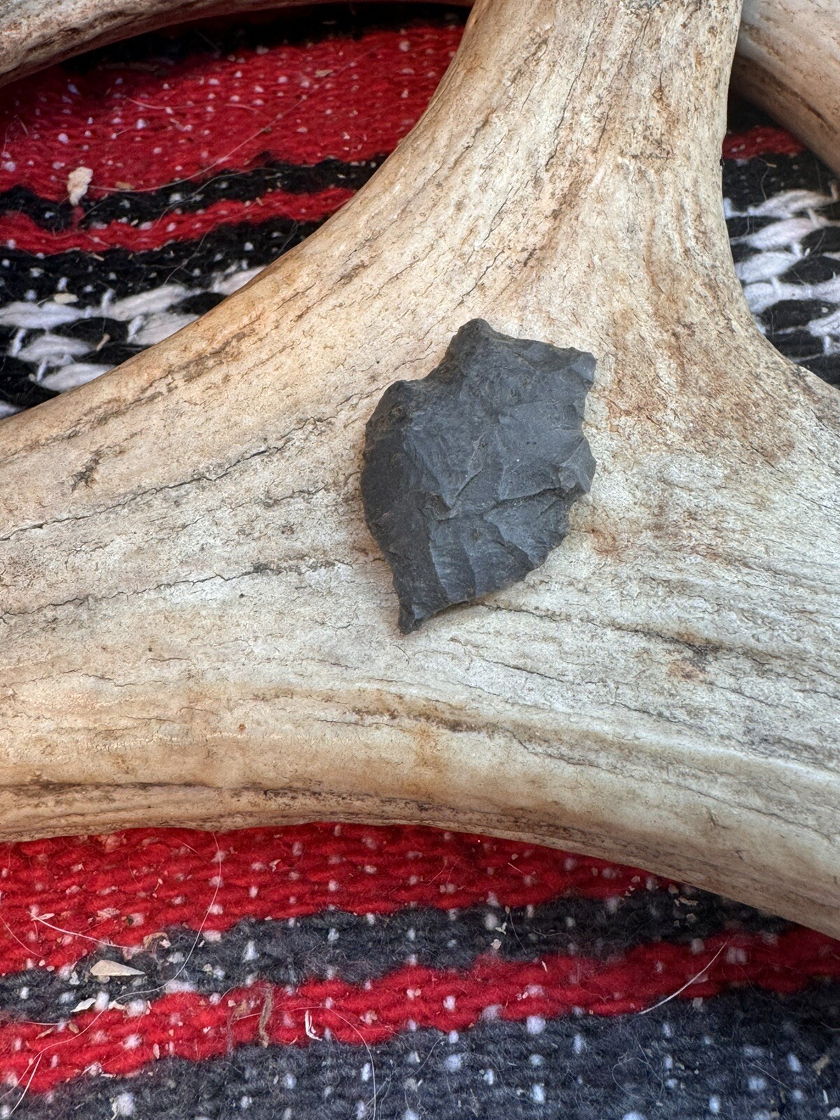 Picture 12 of 18