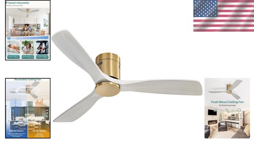 Transitional 52 Inch Indoor/Outdoor Ceiling Fan – Remote, Energy-Saving Design - Picture 2 of 10