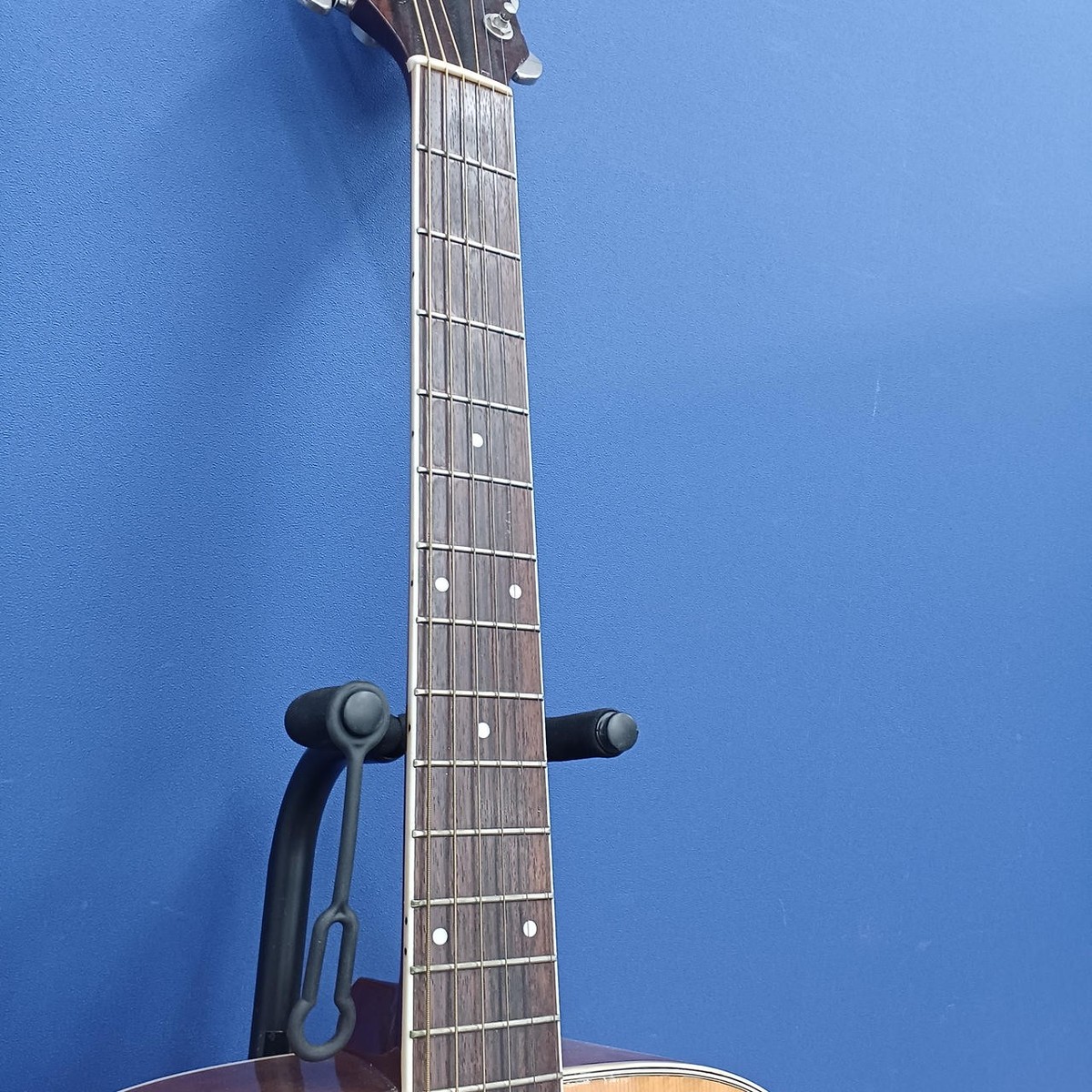 MORRIS Acoustic Guitar MV-701 | eBay