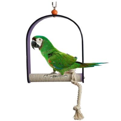 Vogel Trimmen Schaukel Acryl Papagei Zement Sitzstange 34 cm Medium Spaß Hängen Käfig Spielzeug