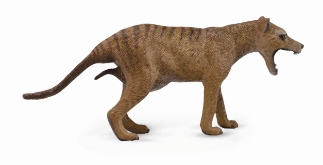 未使用！ TASMANIAN TIGER Thylacine Tasmanian Tiger Female Australian Toy Model 88767 by