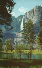 Fall Attraction Cascades Yosemite Valley California Trees Lake Vintage Postcard