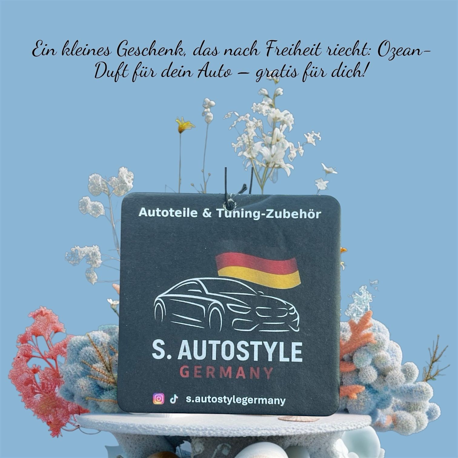 Bild 8 von 8