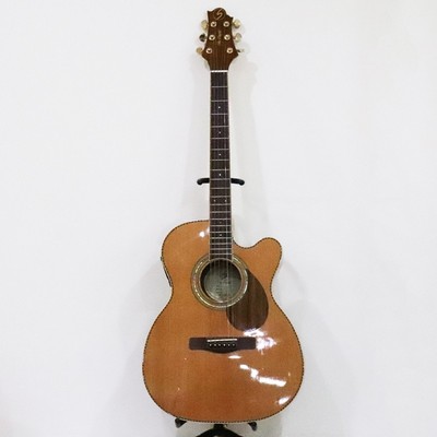Elektrische Akustikgitarre Greg Bennett RIO GRANDE OM-15CE Natural S/N SI...