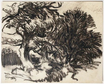 Alte Bäume am Feldrand Weiden Zeichnung 1920er Jahre Paul Groß 1873-1942 - Bild 1 von 4