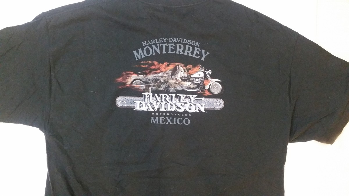 HARLEY DAVIDSON 