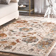 nuLOOM Cecil Vintage Floral Area Rug in Beige Vintage Oriental Design