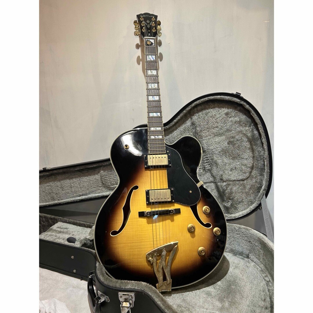 Electric Acoustic Guitar Washburn J-5 TSK Sunburst with Hard