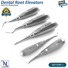 Dental Oral Surgery Root Elevators Kit Flohr Luxation Luxating Elevator Cryer