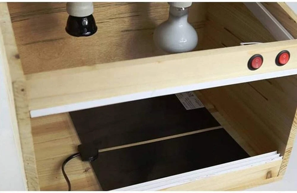 HEIZMATTE MIT THERMOSTAT Pflanzen Terrarium Sämling Gewächshaus Pet REPTILE  ⭐⭐⭐ - Bild 4 von 4