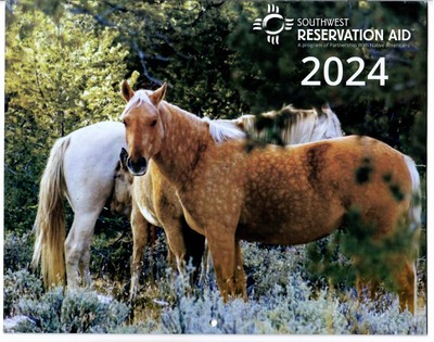 Southwest Reservation Aid 2024 Scenic Calendar | eBay