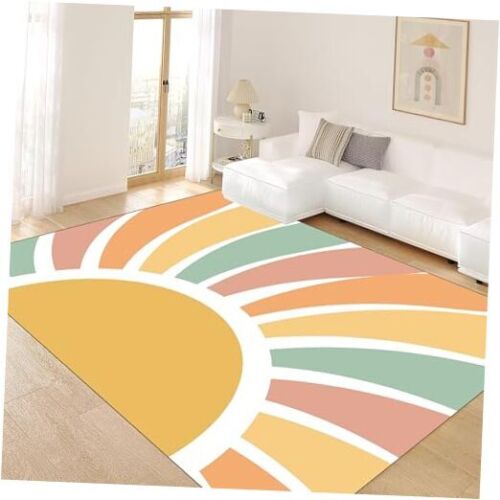 Machine Washable Rainbow Rugs Bedroom Fluffy Plush Soft Area Rugs 3x4ft 2