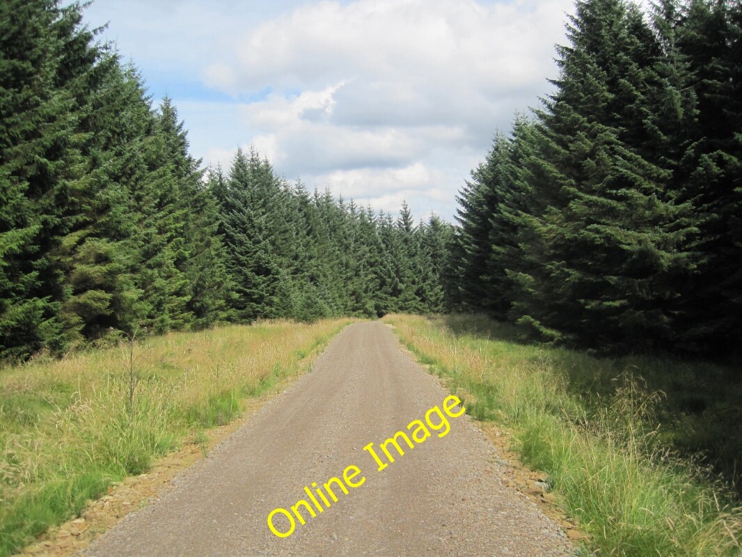 Photo 6x4 Forest Track, Spadadam Forest Sough Sike c2013 | eBay UK