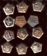 Lot of 12 USSR & RF  space lapel pins/Badges cosmos_SERIES