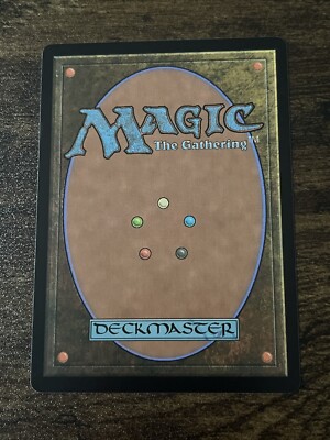 Forest 0279 Full Art Bloomburrow BLB MTG Magic The Gathering