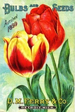 Vintage D.M. Ferry Seed Co. 1899 Reproduction Print Advertising 17x12