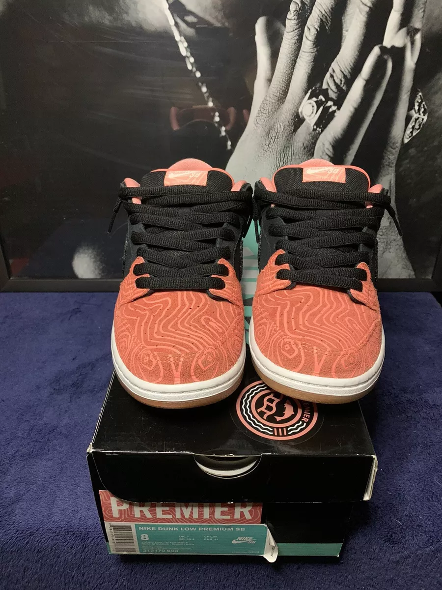 Nike sb salmon online