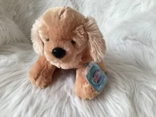 WEBKINZ BUTTERSCOTCH RETRIEVER    HM690  - NEW WITH SEALED CODE-HARD TO FIND