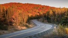 Landscape forest road fall red leaves pine trees asphalt Custom Gaming Mat Desk