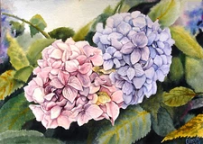 Original Art Watercolor Painting Flowers Heart-shaped Hydrangeas Decor Gift