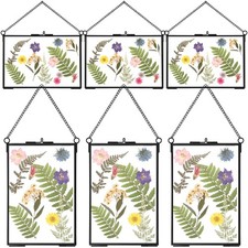 Treela 6 Pcs Pressed Flower Glass Picture Frames 4 X 6 Inch Brass Hanging