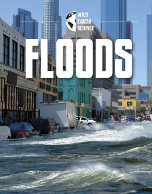 Floods by Rachel Werner 9781398240803 NEW Paperback