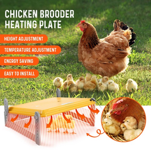 Chick Brooder Heating Plate Warmer Chicken Coop Brooding Heater Poultry Duckling - Picture 35 of 61