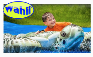 wahii waterslide