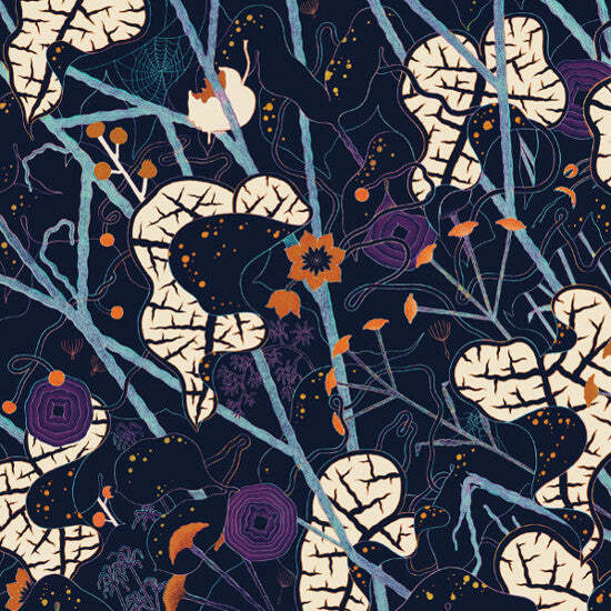 Лайла Фой - Новый винил Mirrors The Sky