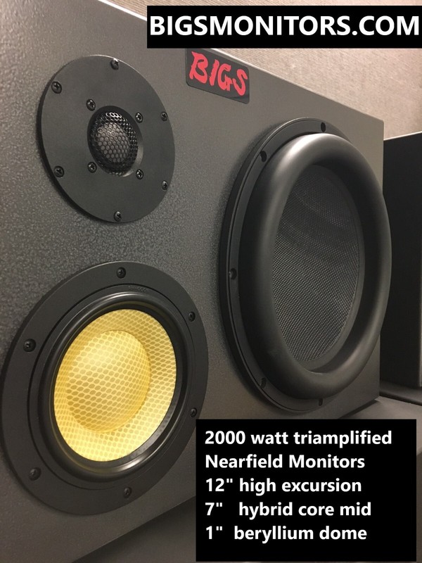 BIGS nearfield triamplified monitors 2000 watts