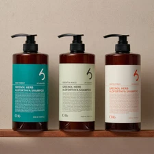 CH6 Greenol Herb Aloforthya Shampoo 1000mL