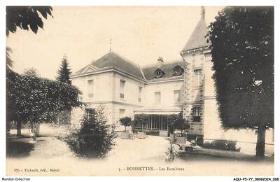 AQUP5-0323-77 - BOISSETTES - Les bambous