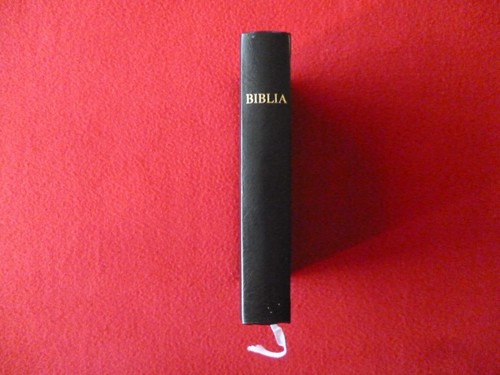 RUMÄNISCHE BIBEL BIBLIA SOCIETATEA BIBLICA KOMPAKT HARDCOVER WIE NEU. - Bild 5 von 8