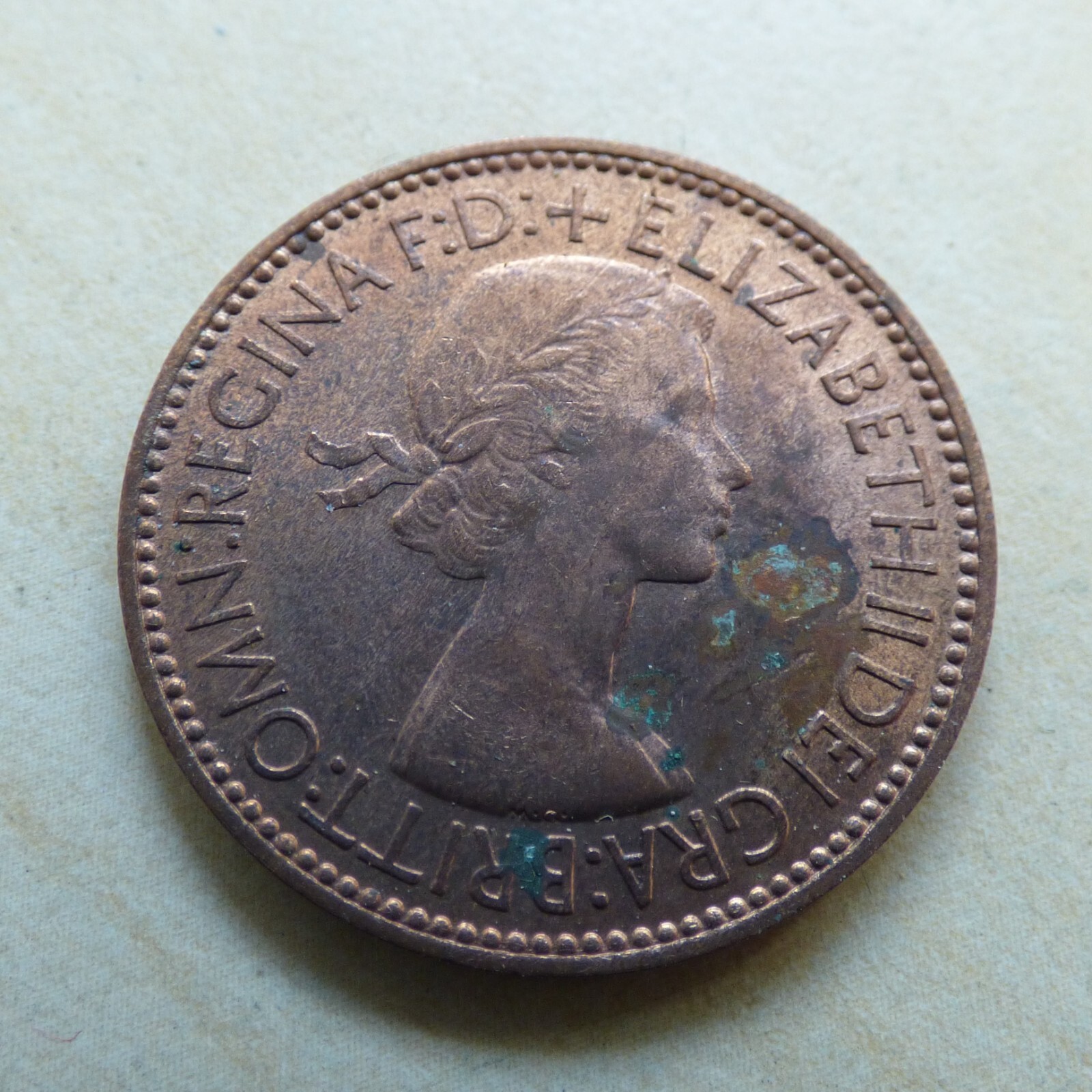Picture 10 of 189