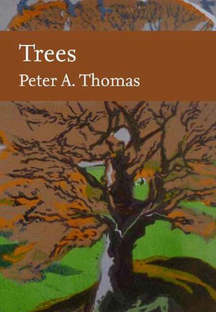 Trees Collins New Naturalist Library by Peter Thomas HARDBACK 9780008304515 - Image 5