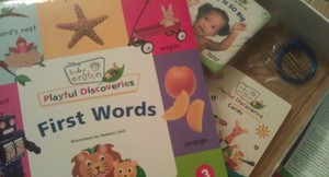 early moments baby einstein