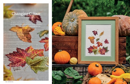 Inspirations Embroidery Magazine: Issue #123 (July'24) inc P&P - Picture 9 of 10