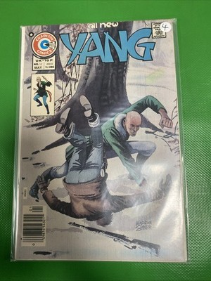 Yang #13 1976 Charlton Comics Comic Book