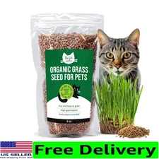 Organic Cat Grass Seeds - Grow Fresh Indoor Treats in Just Days, 8 oz