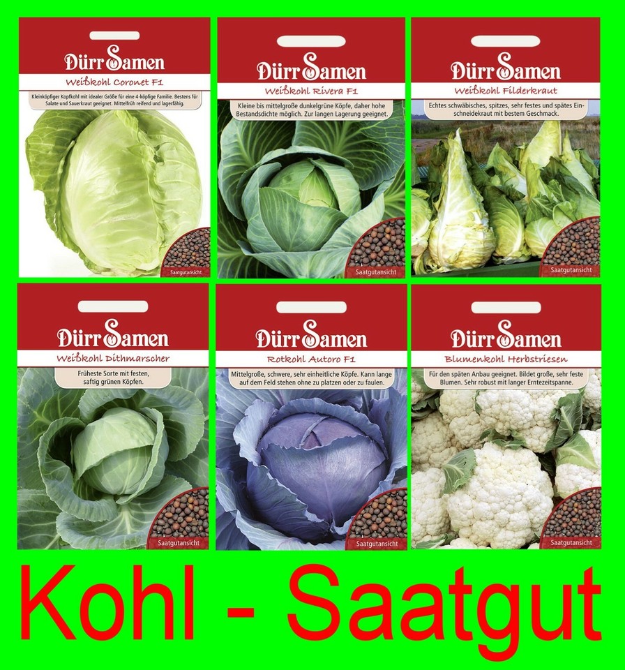 Weißkohl Blumenkohl Blaukohl Spitzkohl Wintergemüse Wintersaat Saatgut Sortiment