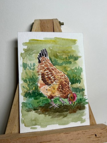 Original ACEO Watercolor Painting Pecking Hen Chicken Bird OOAK Miniature Art