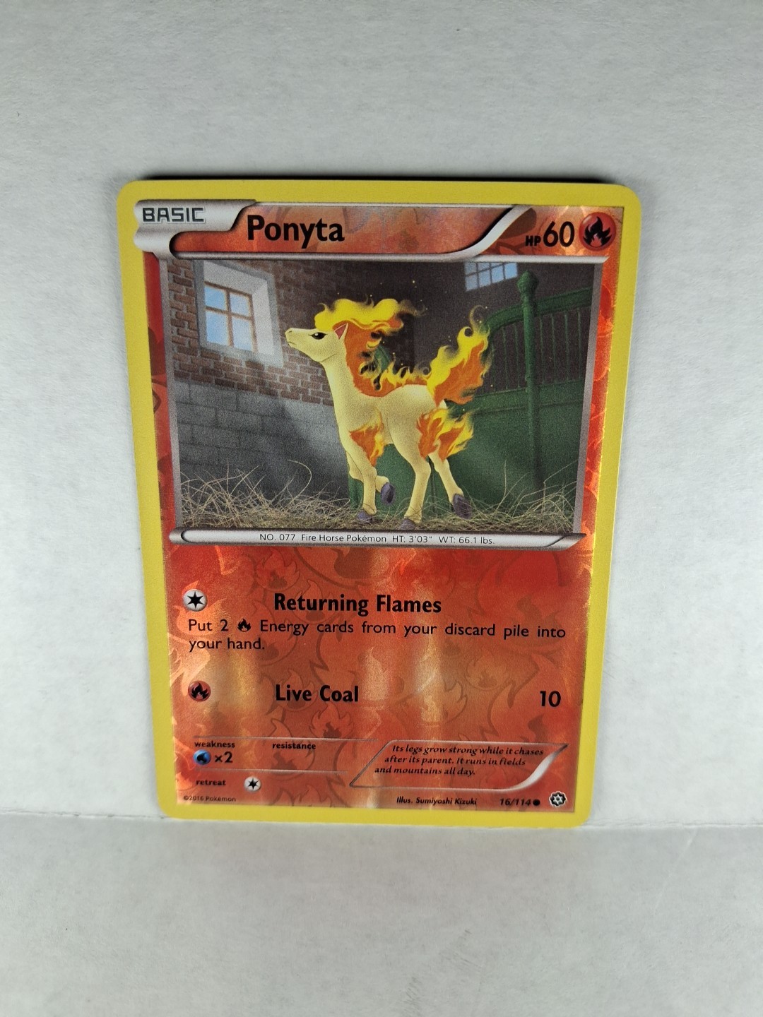 Ponyta 16/114 Reverse Holo XY - Steam Siege Near Mint Pokémon TCG