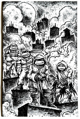 TEENAGE MUTANT NINJA TURTLES #10 KEVIN EASTMAN 1:10 SKETCH B&W VIRGIN VARIANT NM