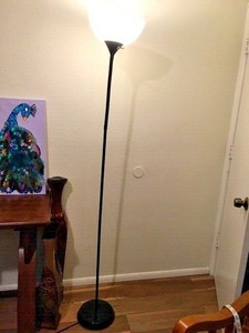 Intertek 71'' Gooseneck Floor Lamp Black EUC | eBay